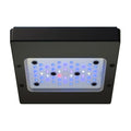 Radion XR15 G6 Blue