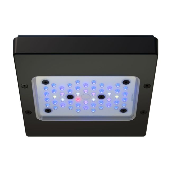 Radion XR15 G6 Blue