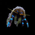 Blue Leg Hermit Crabs