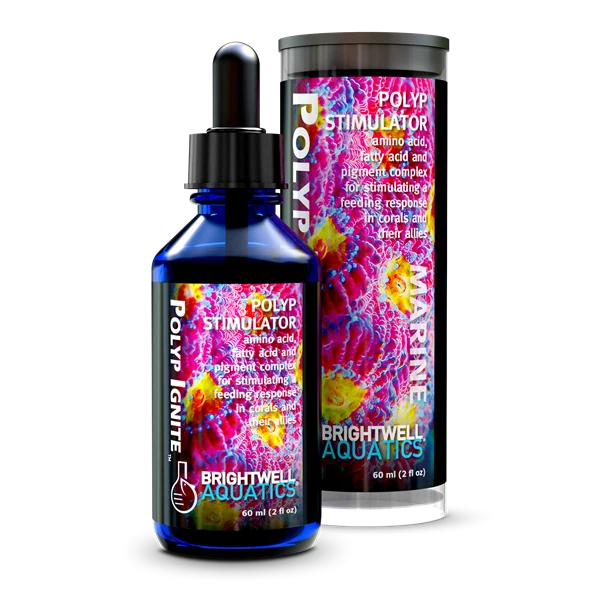 Brightwell Aquatics Polyp Ignite - 60ml