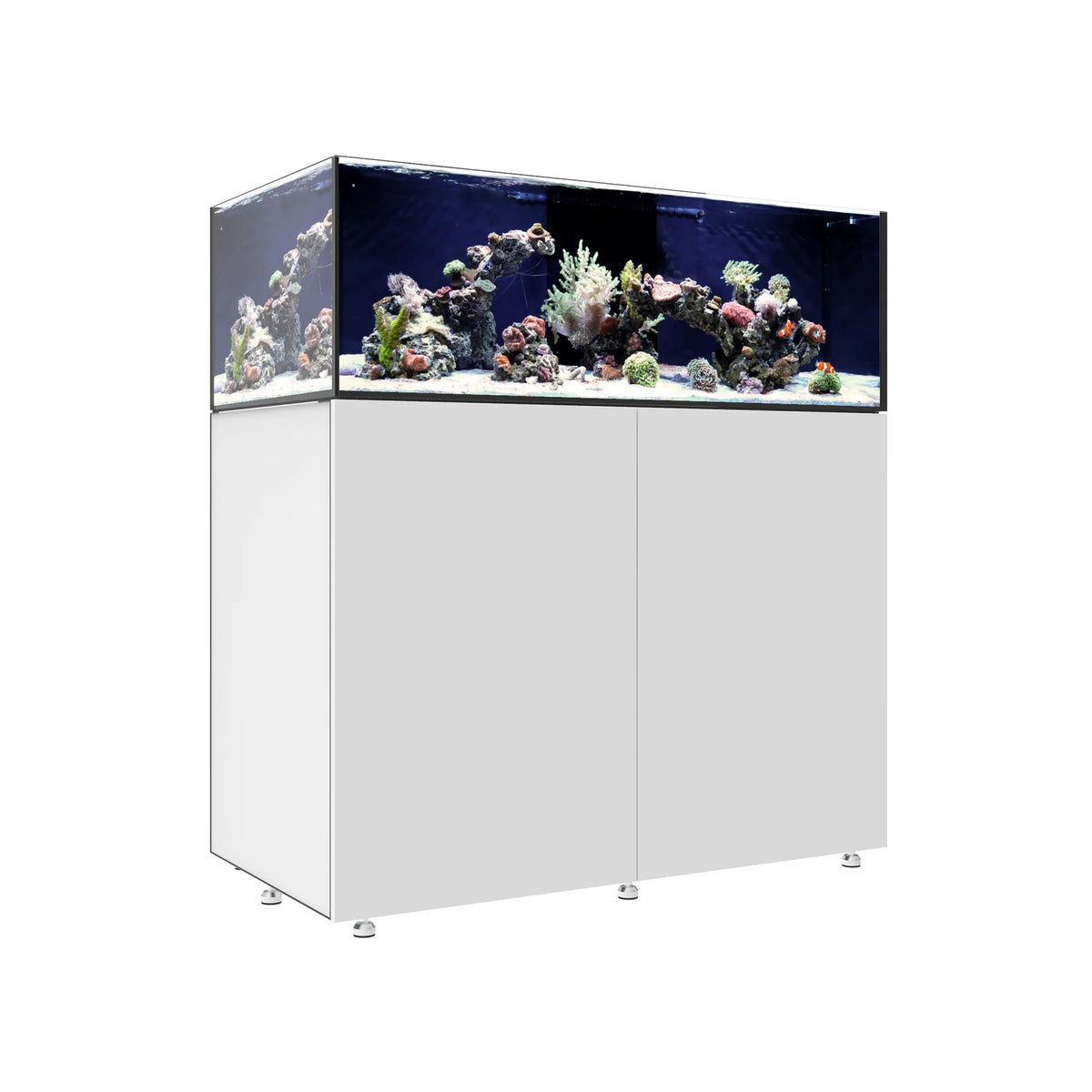 INFINIA   Frag   125.4