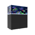 INFINIA   Reef   150.4