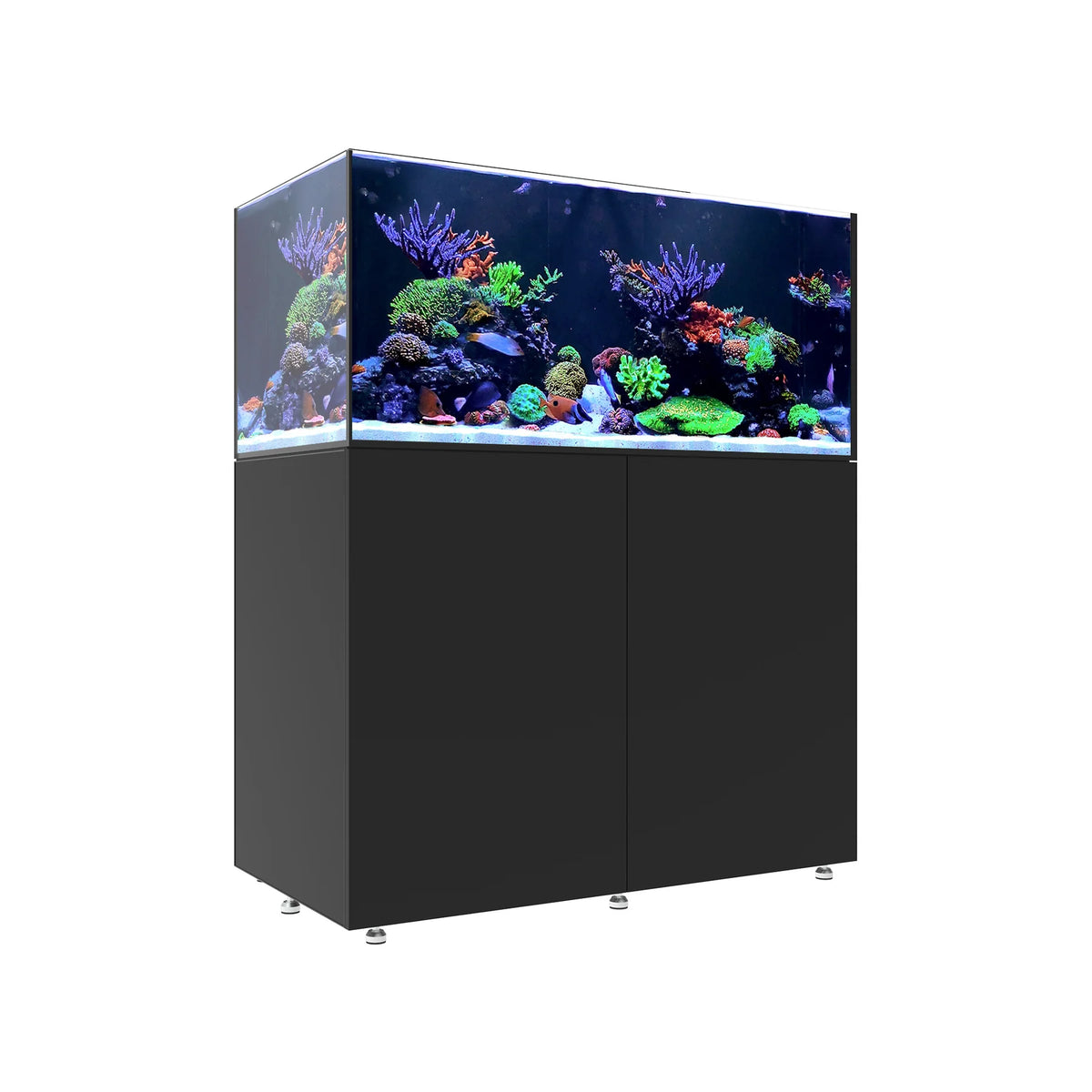INFINIA   Reef   150.4