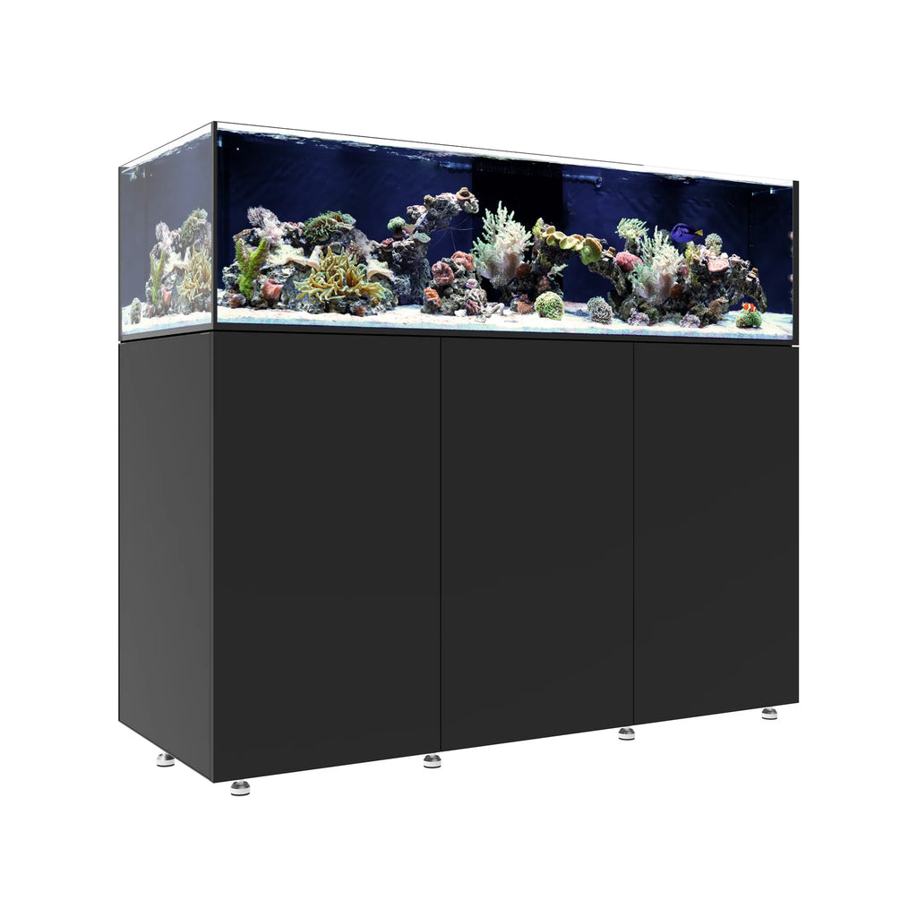 INFINIA   Frag   155.5 Plus Editon