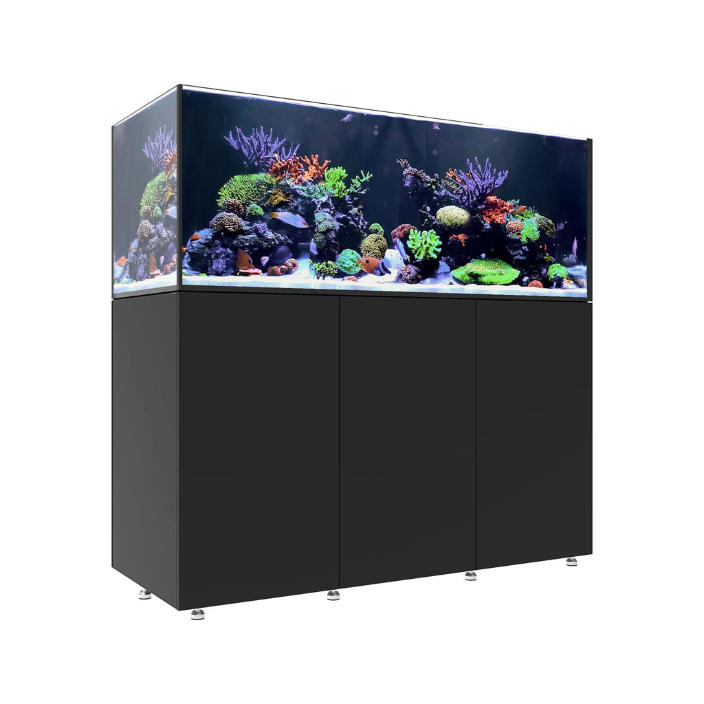 INFINIA   Reef   190.5
