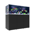 INFINIA   Reef   190.5