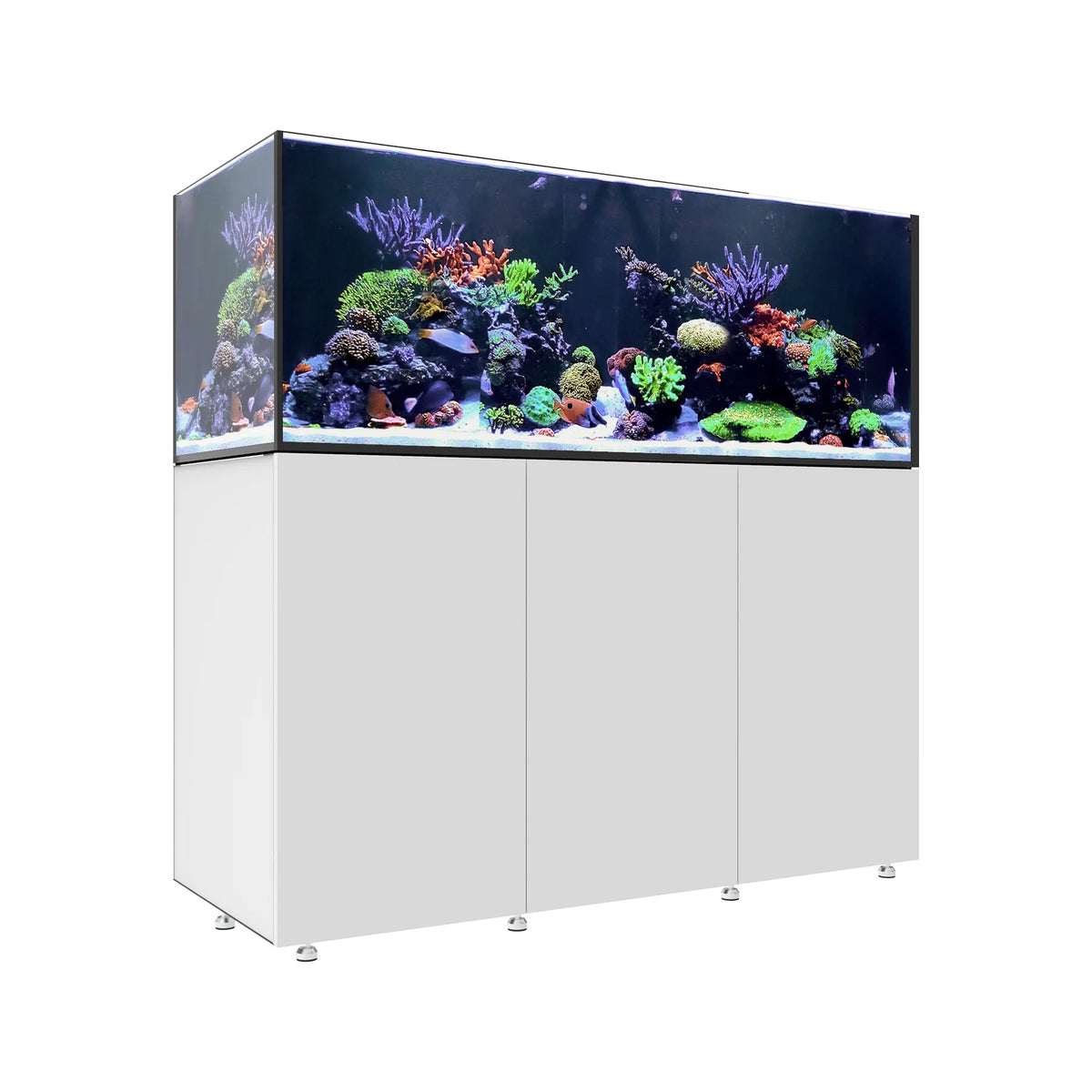 INFINIA   Reef   190.5