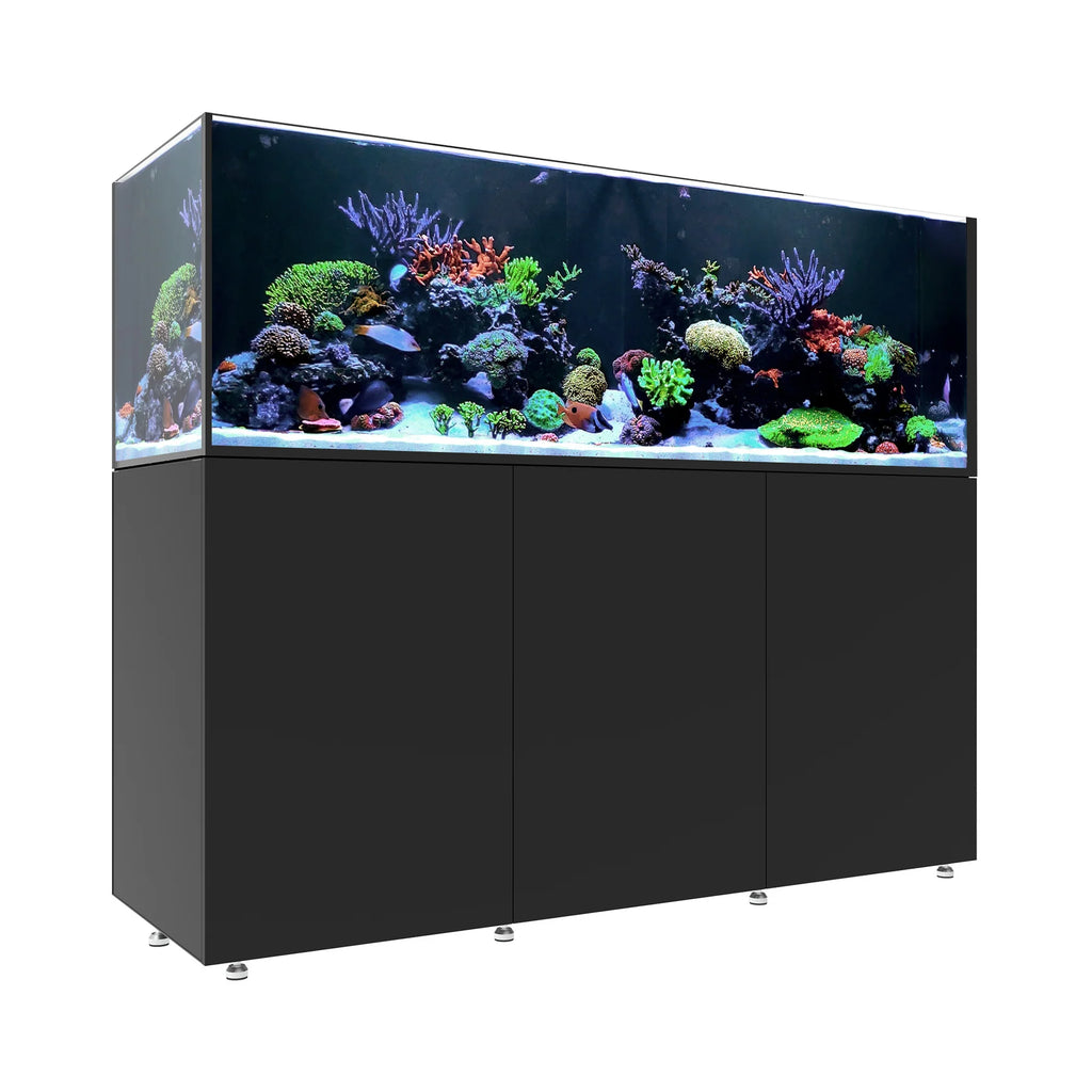 INFINIA   Reef   230.6