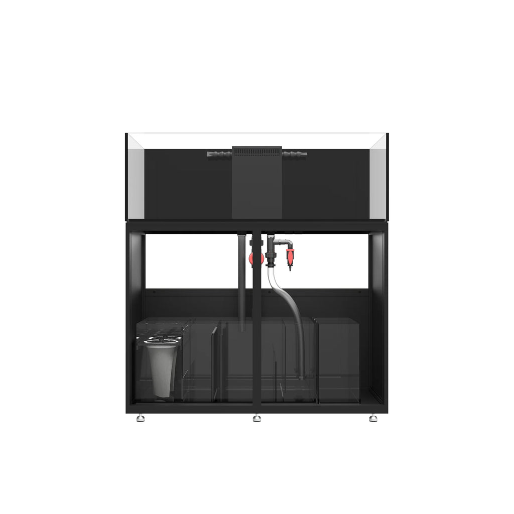 INFINIA   Frag   125.4
