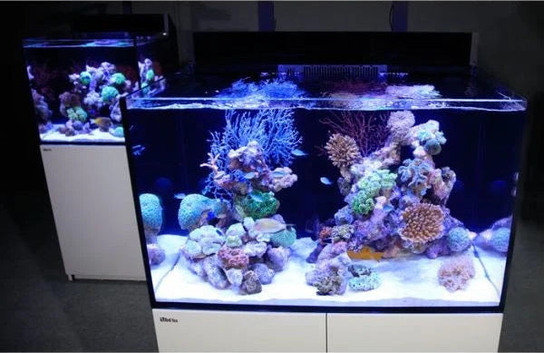 Red Sea Max E 170 Aquarium - Black
