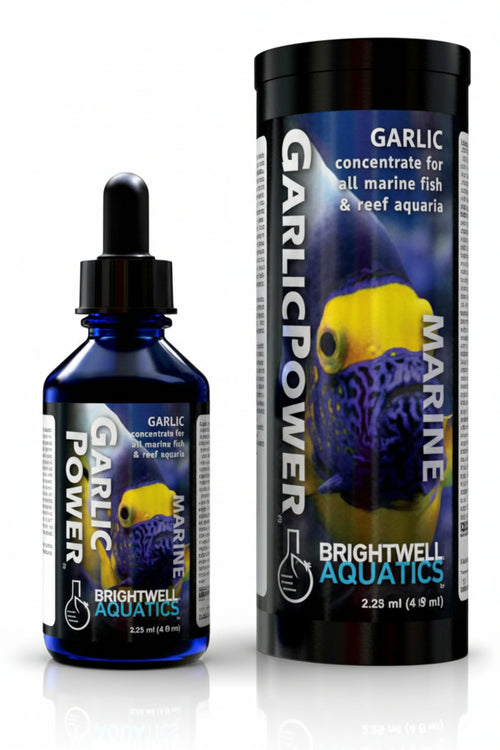 Brightwell Aquatics Garlic Power - 60ml
