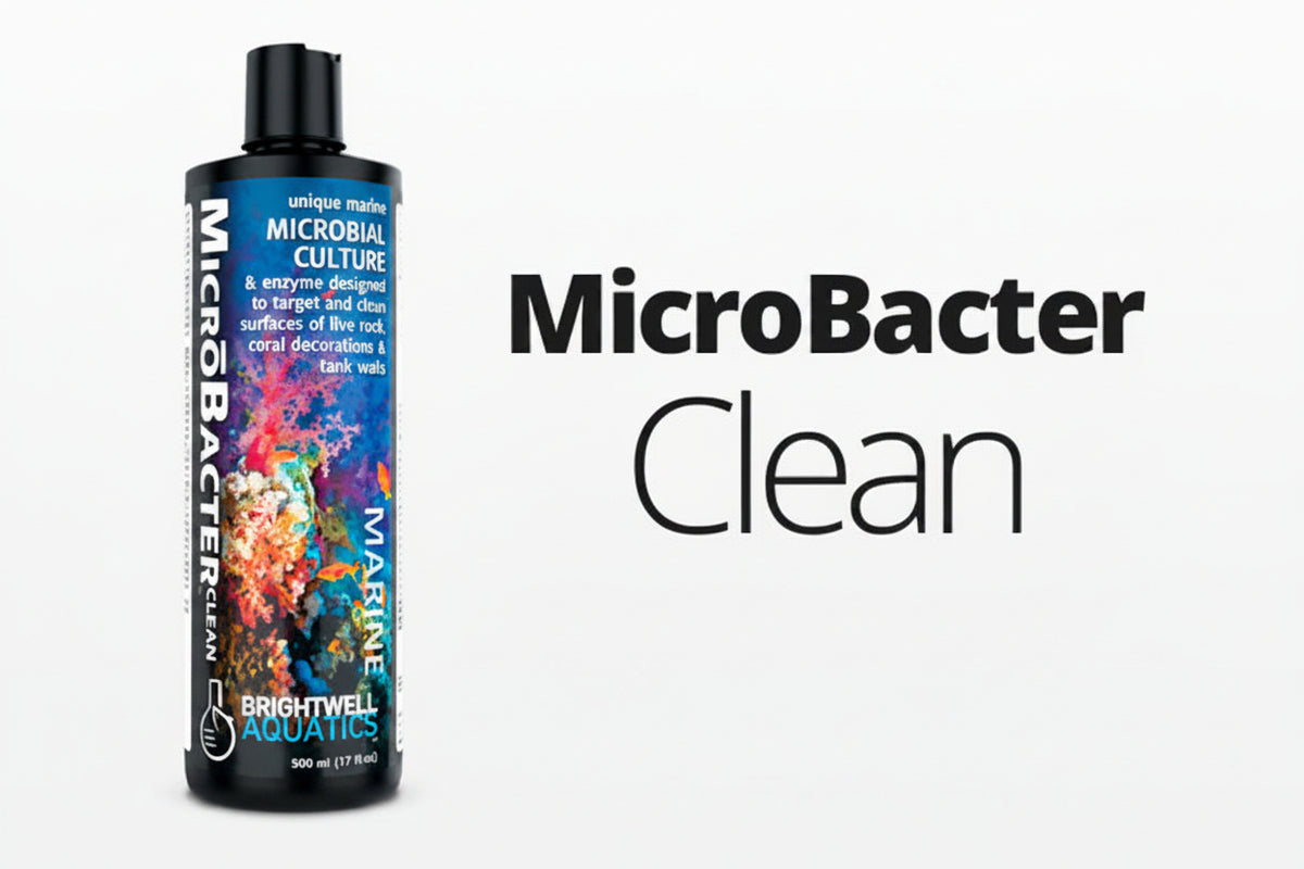 Brightwell Aquatics MicroBacter Clean - 500ml