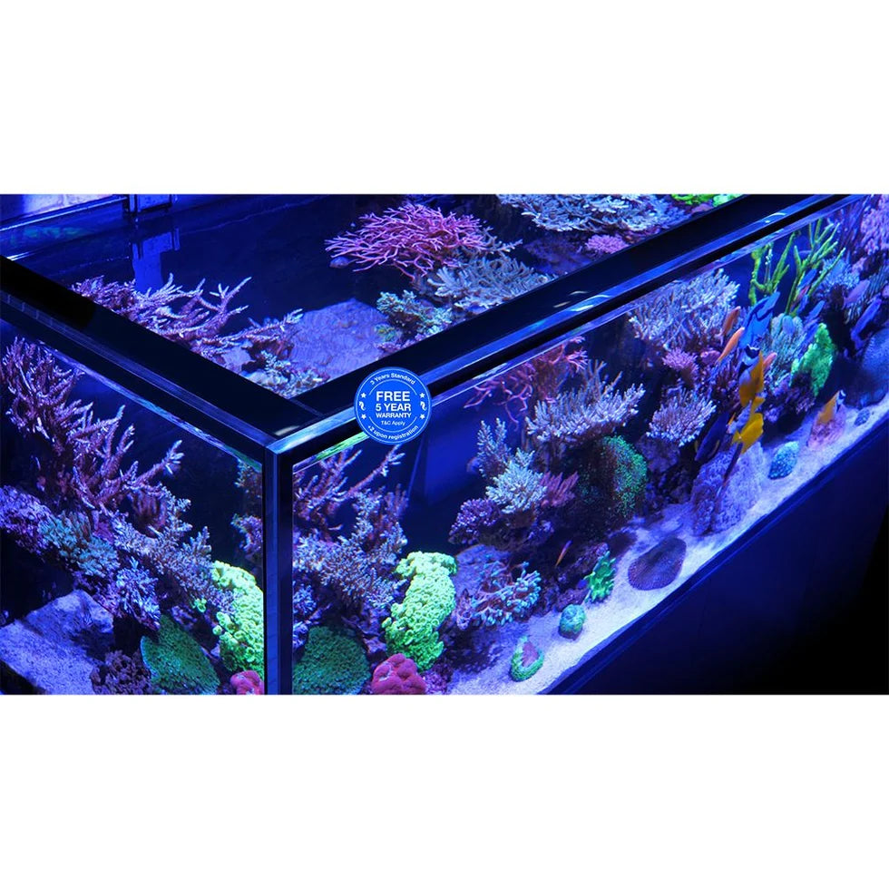 Red Sea Reefer 625 G3 - White Cabinet